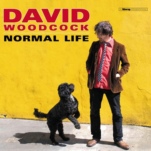 |  Vinyl LP | David Woodcock - Normal Life (LP) | Records on Vinyl