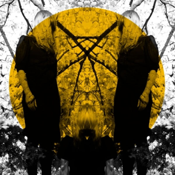|   | Austra - Feel It Break (2 LPs) | Records on Vinyl