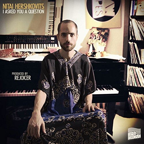 |  Vinyl LP | Nitai Herschkovits - I Asked You a Question (LP) | Records on Vinyl