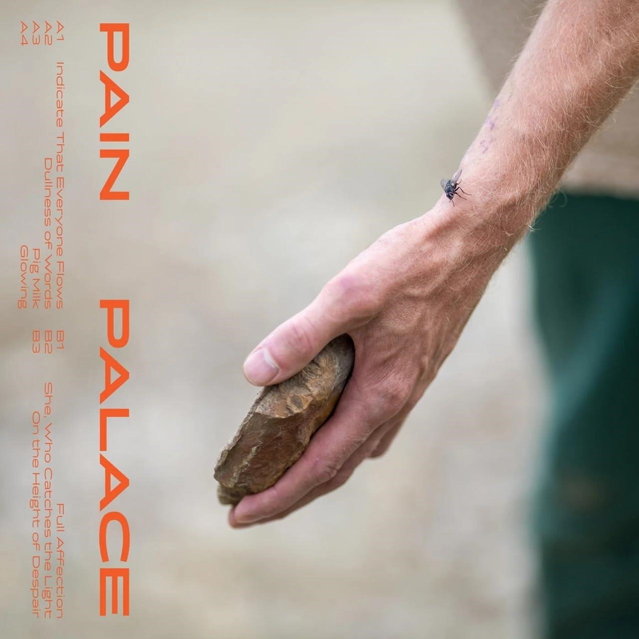 |   | Pain Palace - Pain Palace (LP) | Records on Vinyl