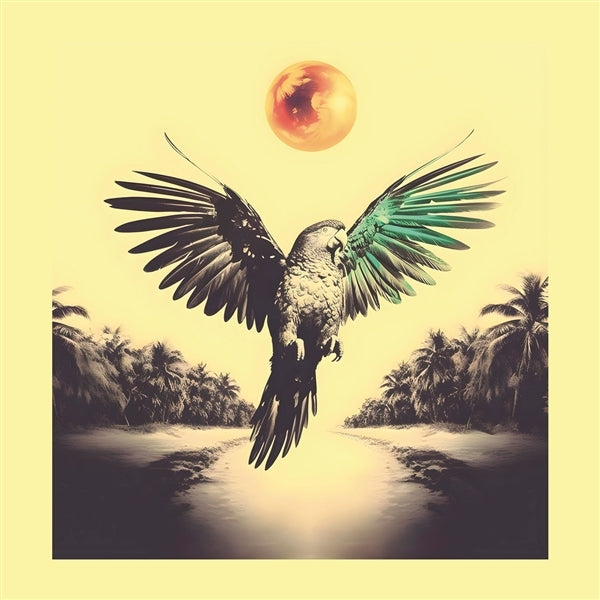 |  Vinyl LP | Sam Nobrega - Ponta De Dois Lados (LP) | Records on Vinyl