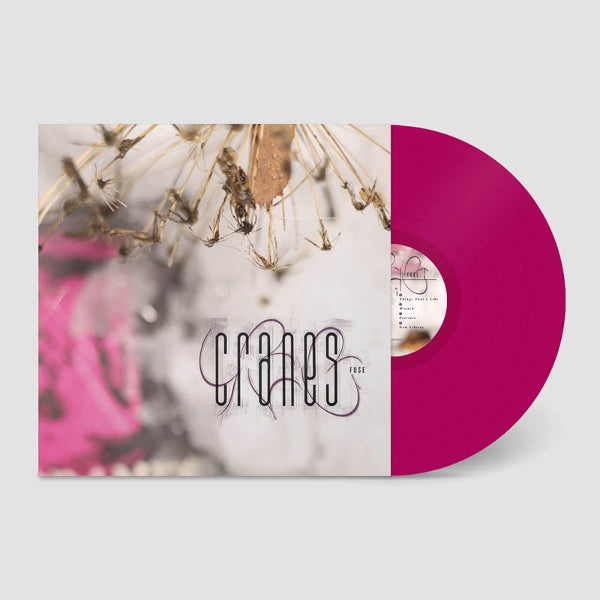 |  Vinyl LP | Cranes - Fuse (LP) | Records on Vinyl