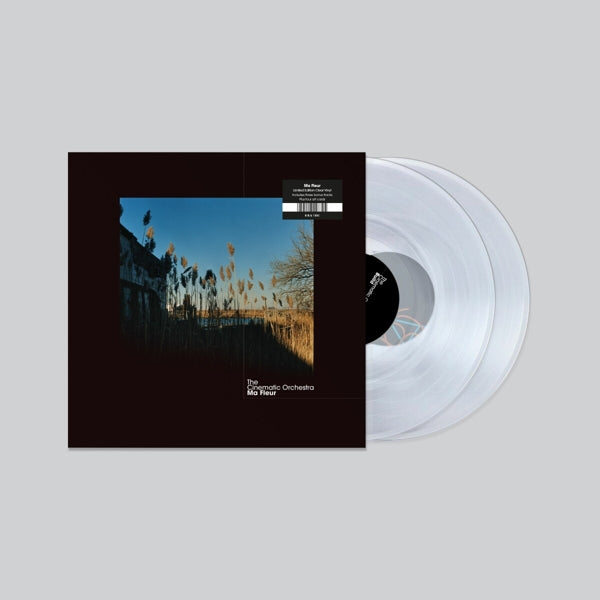 |  Vinyl LP | Cinematic Orchestra - Ma Fleur (2 LPs) | Records on Vinyl
