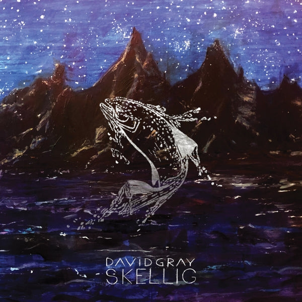 |  Vinyl LP | David Gray - Skellig (2 LPs) | Records on Vinyl