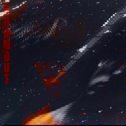 |  Vinyl LP | Boywithuke - Burnout (LP) | Records on Vinyl