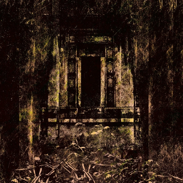 |   | Coffin Lurker - Foul and Defiled (LP) | Records on Vinyl