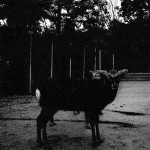 |  7" Single | Sial - Zadam Edan (Single) | Records on Vinyl
