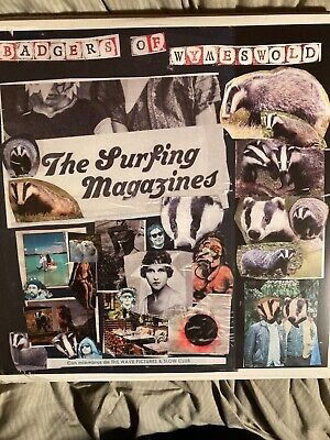 |  Vinyl LP | Surfing Magazines - Badgers of Wymeswold (2 LPs) | Records on Vinyl