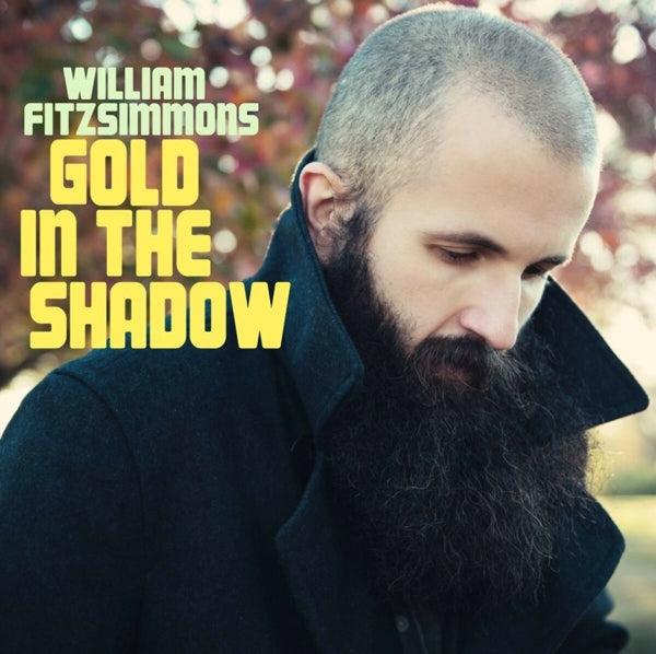 |  Vinyl LP | William Fitzsimmons - Gold In the Shadow (2 LPs) | Records on Vinyl