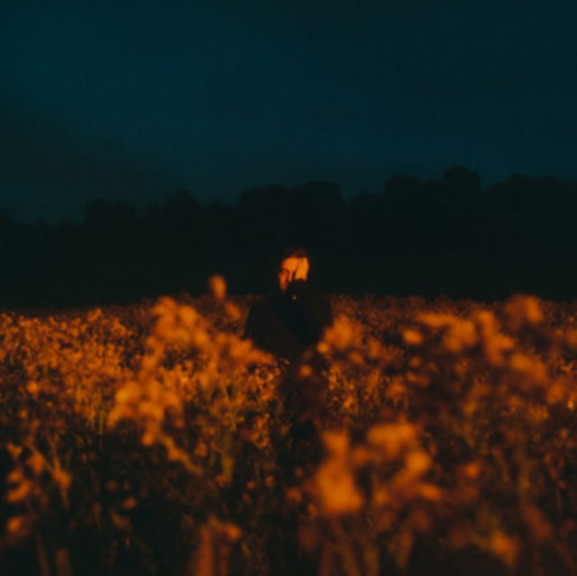 |   | Benjamin Francis Leftwich - Some Things Break (LP) | Records on Vinyl