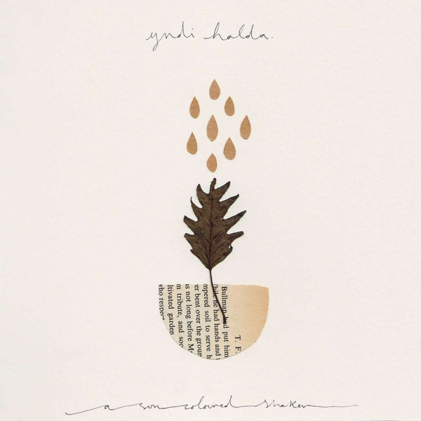 |  12" Single | Yndi Halda - A Sun Coloured Shaker (Single) | Records on Vinyl
