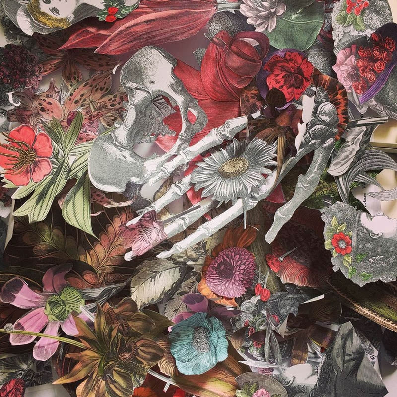 |  Vinyl LP | Tala Vala - Modern Hysteric (LP) | Records on Vinyl