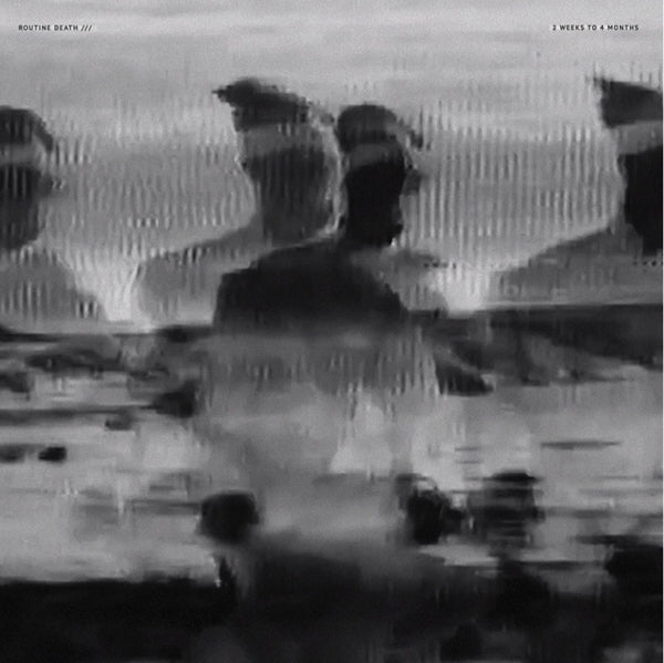 |  Vinyl LP | Routine Death - Two Weeks To 4 Months (LP) | Records on Vinyl