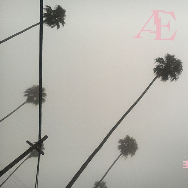 |  Vinyl LP | Anton Eger - Ae (2 LPs) | Records on Vinyl