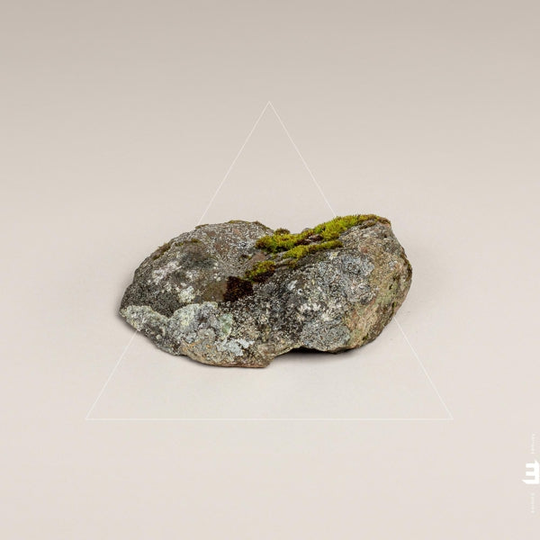 |  Vinyl LP | Fergus McCreadie - Cairn (LP) | Records on Vinyl