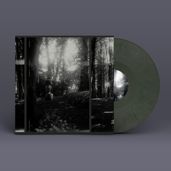 |   | Eyolf Dale - Wayfarers (LP) | Records on Vinyl