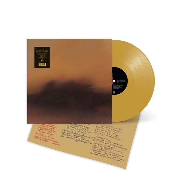 |  Vinyl LP | Besnard Lakes - Are the Ghost Nation (LP) | Records on Vinyl