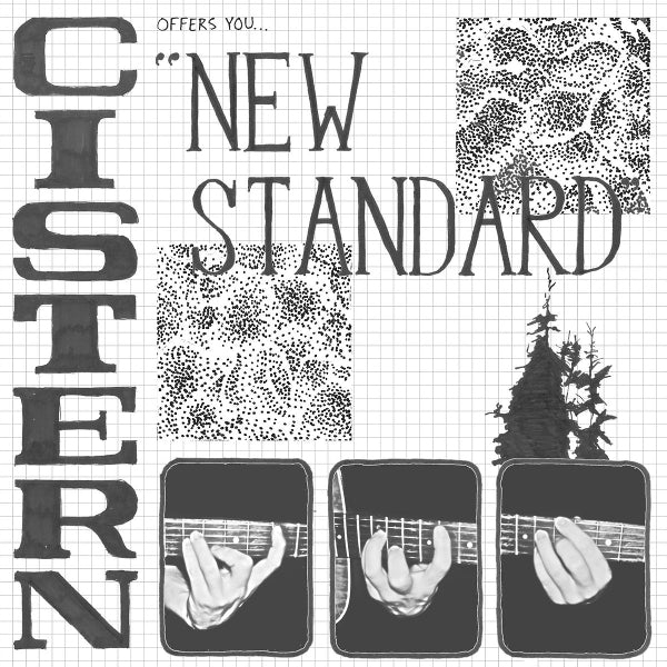 |  12" Single | Cistern - New Standard (Single) | Records on Vinyl