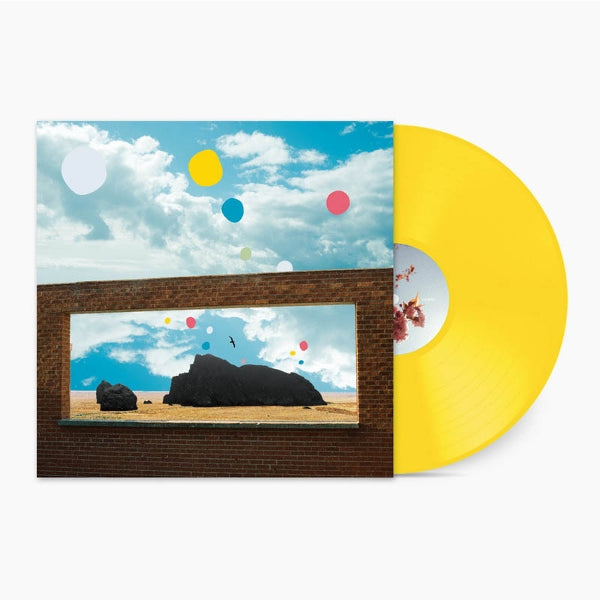 |  Vinyl LP | Admiral Fallow - First of the Brids (LP) | Records on Vinyl