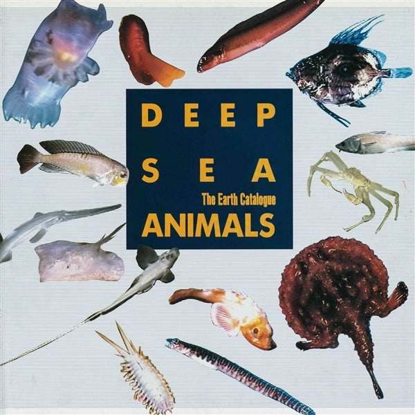 |  Vinyl LP | Various - Deep Sea Animals (LP) | Records on Vinyl