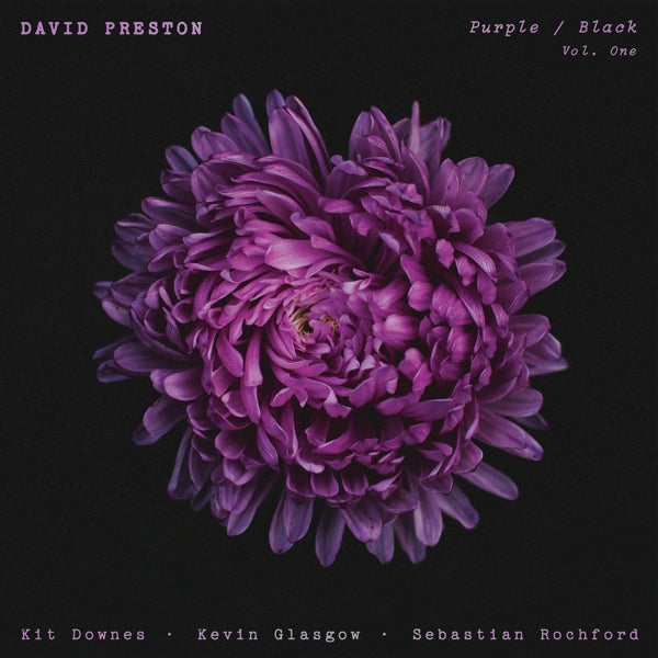 |  Vinyl LP | David Preston - Purple / Black Vol.1 (LP) | Records on Vinyl