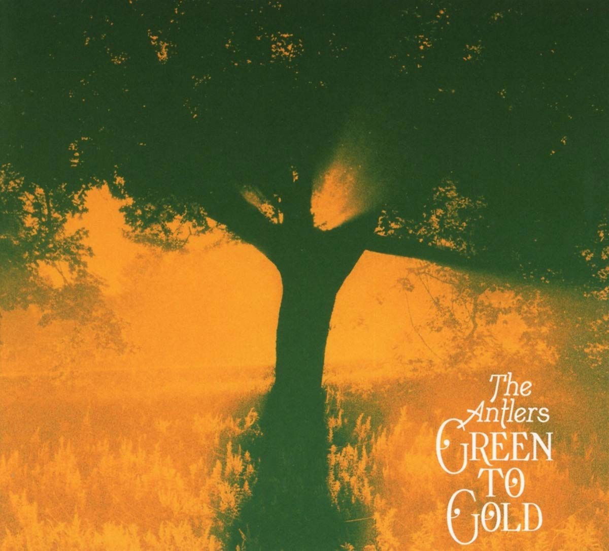 |  12" Single | Antlers - Green To Gold (Single) | Records on Vinyl