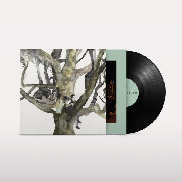 |  Vinyl LP | Destroyer - Labyrinthitis (LP) | Records on Vinyl