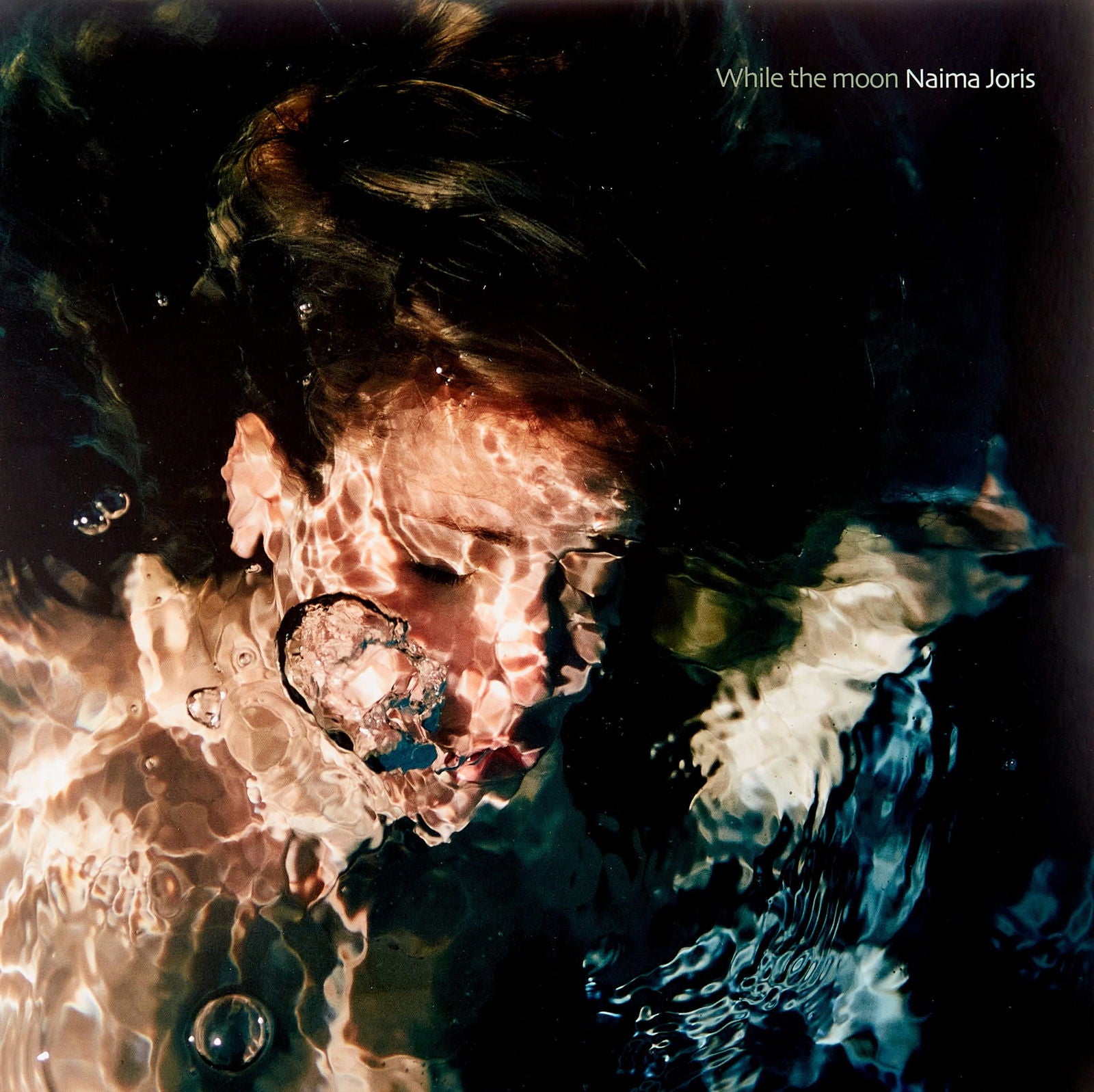 |  Vinyl LP | Naima Joris - While the Moon (LP) | Records on Vinyl
