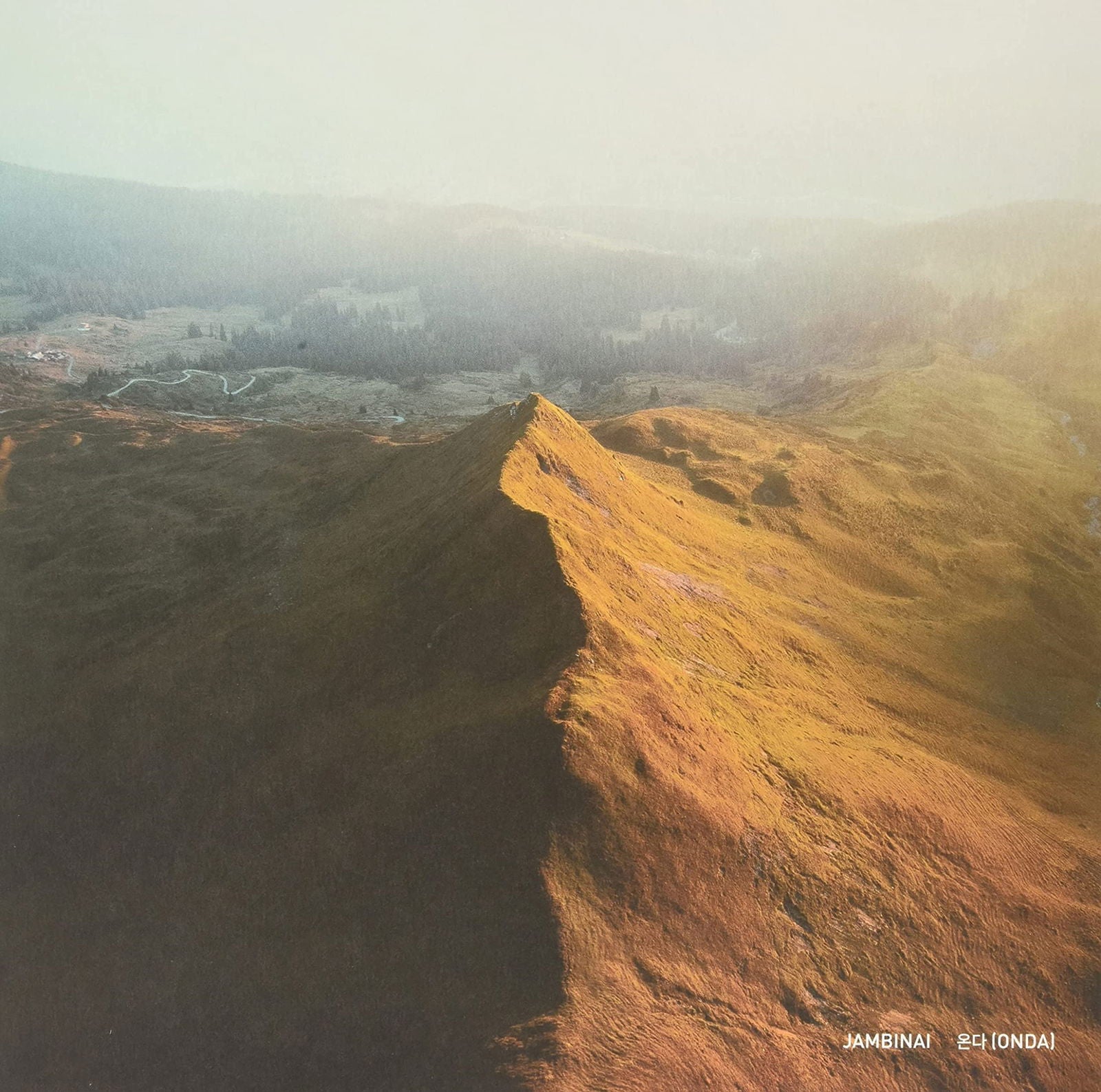 |  Vinyl LP | Jambinai - Onda (2 LPs) | Records on Vinyl