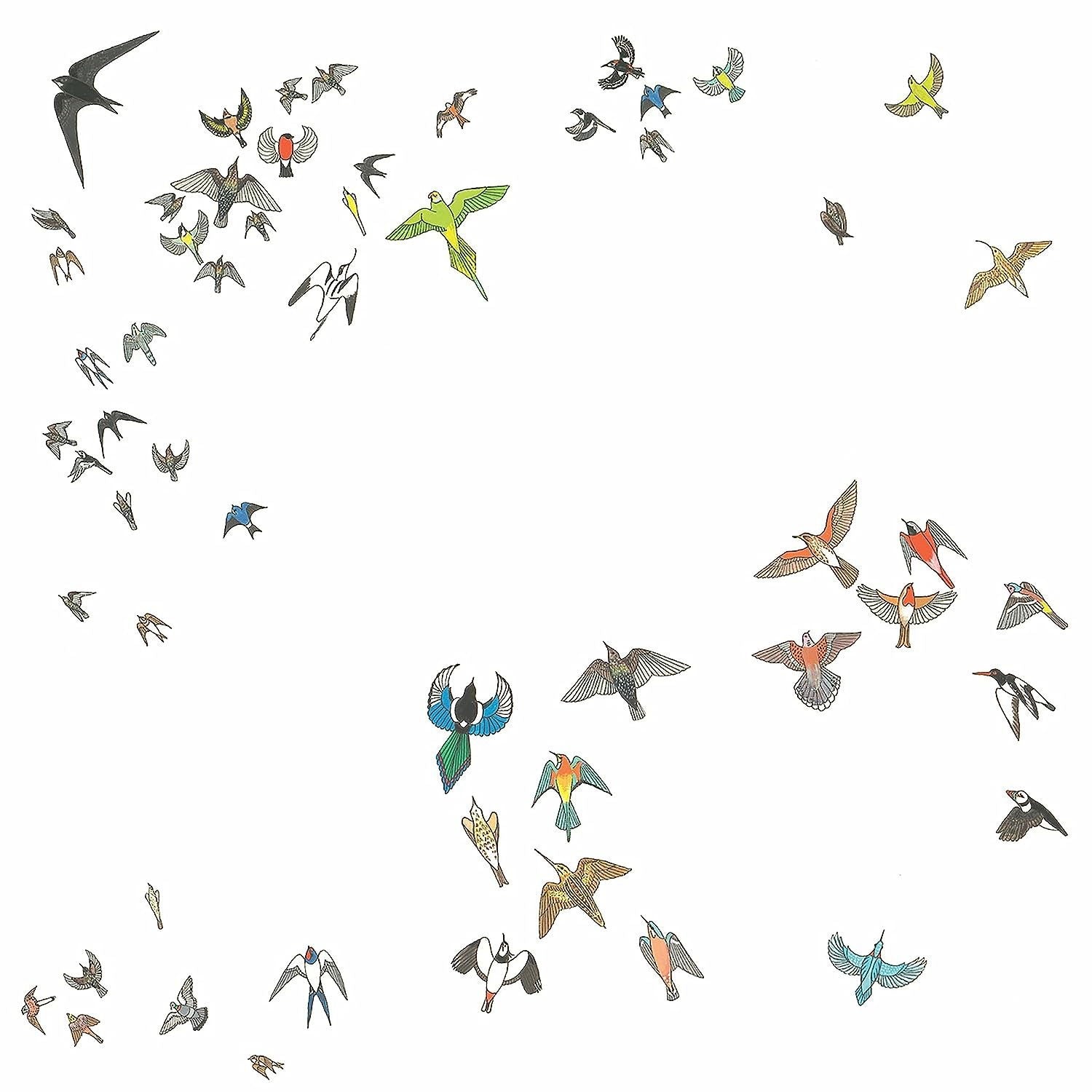 |  Vinyl LP | Modern Nature - No Fixed Point In Space (LP) | Records on Vinyl