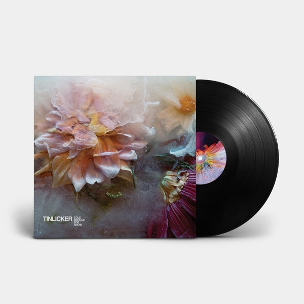 |   | Tinlicker - Cold Enough For Snow Mountain (2 LPs) | Records on Vinyl