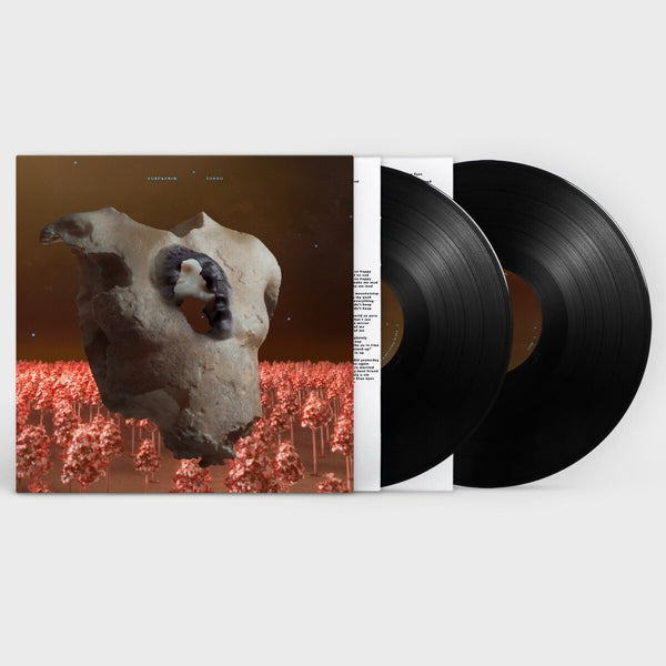 |  Vinyl LP | Soap&Skin - Torso (2 LPs) | Records on Vinyl