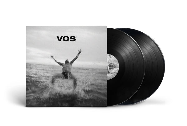 |  vinyl lp | V/A - Vos (2 LPs) | Records on Vinyl