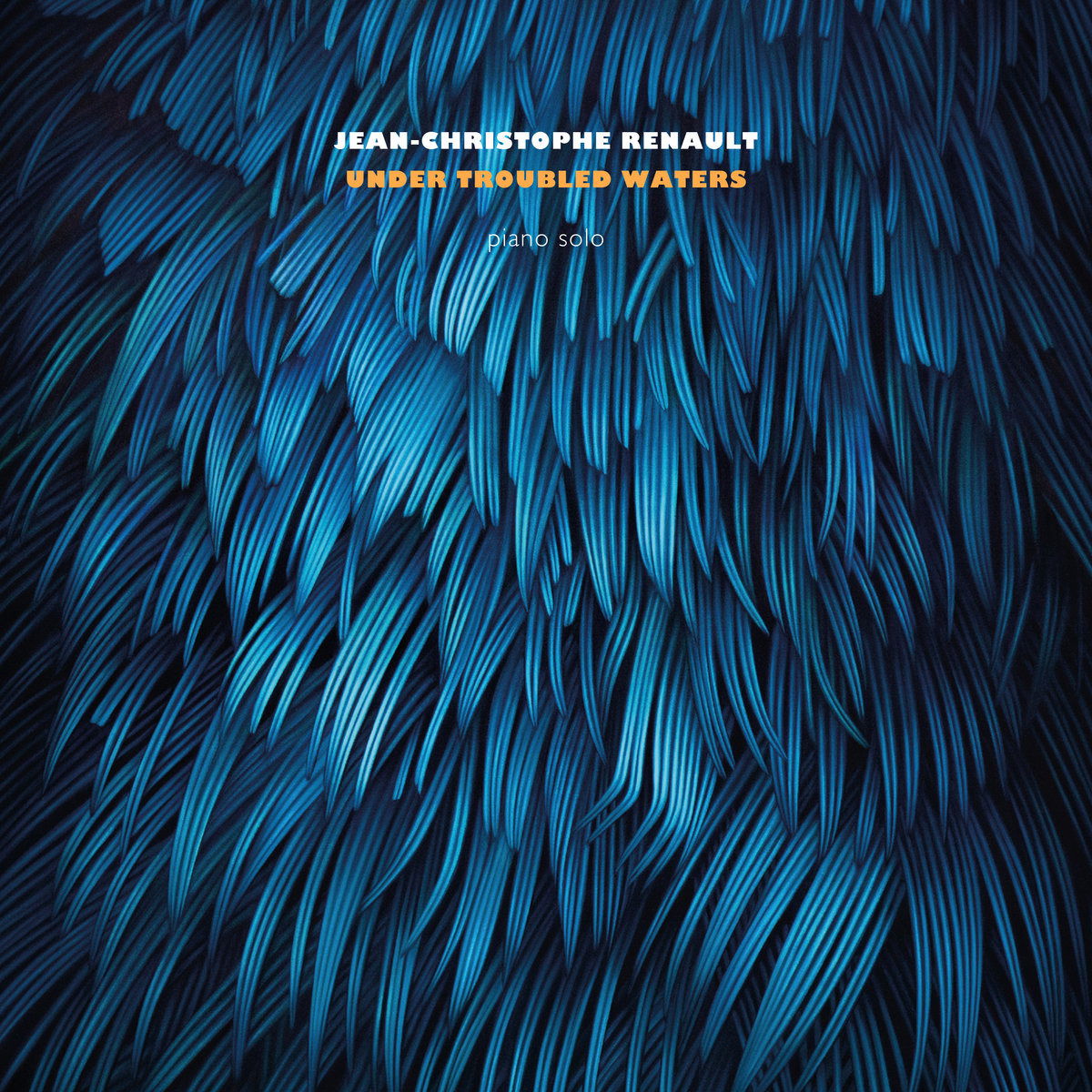 |  Vinyl LP | Jean-Christophe Renault - Under Troubled Waters (LP) | Records on Vinyl