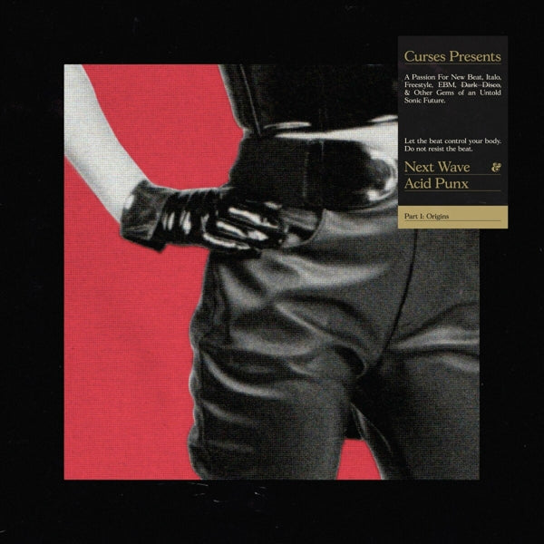 |  Vinyl LP | Curses - Next Wave Acid Punx Pt. 1: Origins (2 LPs) | Records on Vinyl