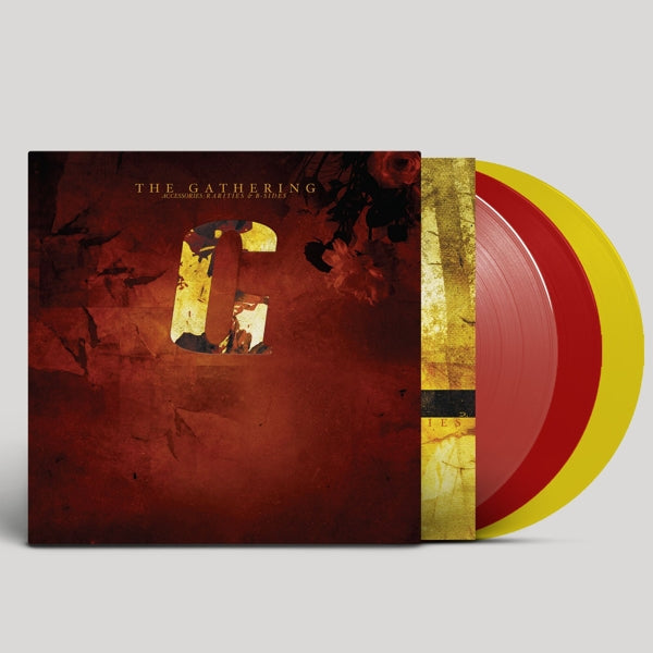 |   | Gathering - Accessories - Rarities and B-Sides (3 LPs) | Records on Vinyl