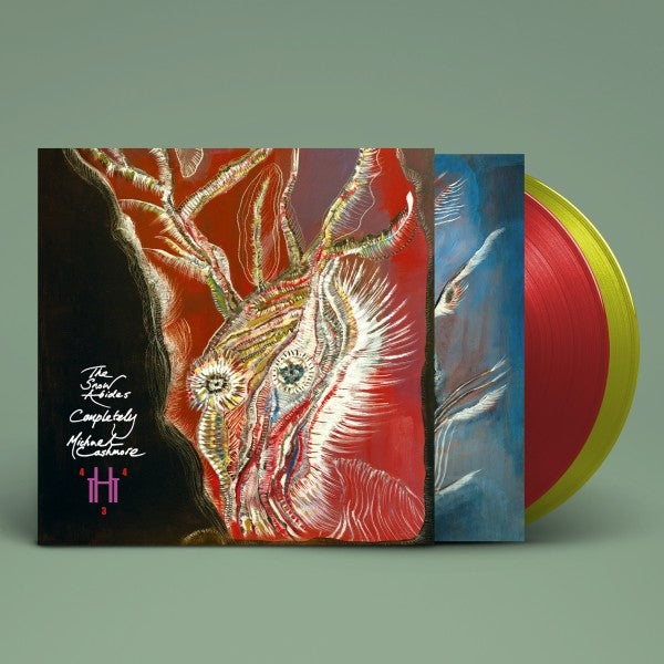 |   | Michael Cashmore - The Snow Abides Completely (2 LPs) | Records on Vinyl