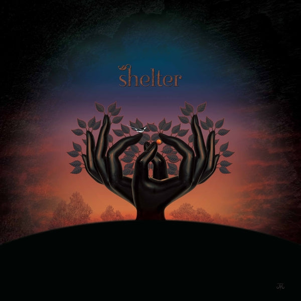 |  Vinyl LP | Laughing Stock - Shelter (LP) | Records on Vinyl
