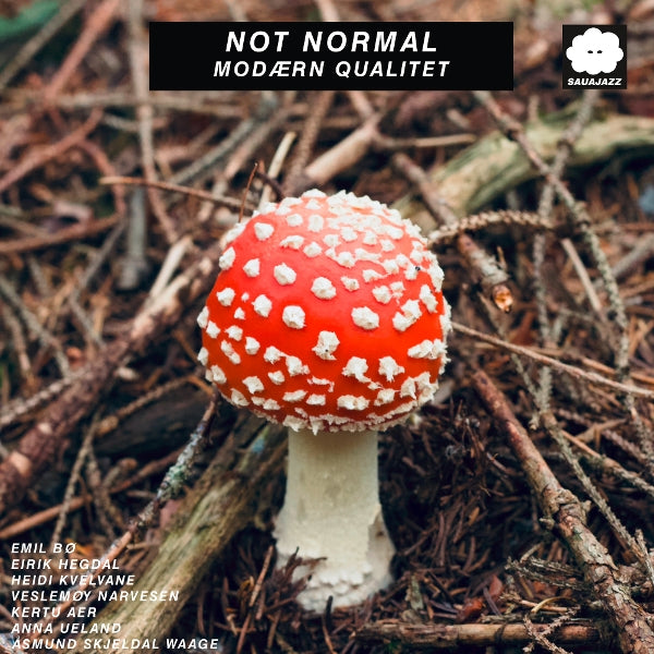 |  Vinyl LP | Not Normal - Modaern Qualitet (LP) | Records on Vinyl