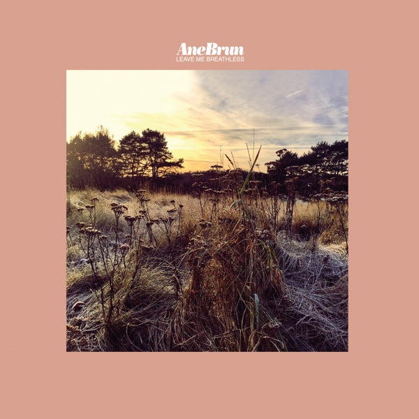 |  Vinyl LP | Ane Brun - Leave Me Breathless (LP) | Records on Vinyl