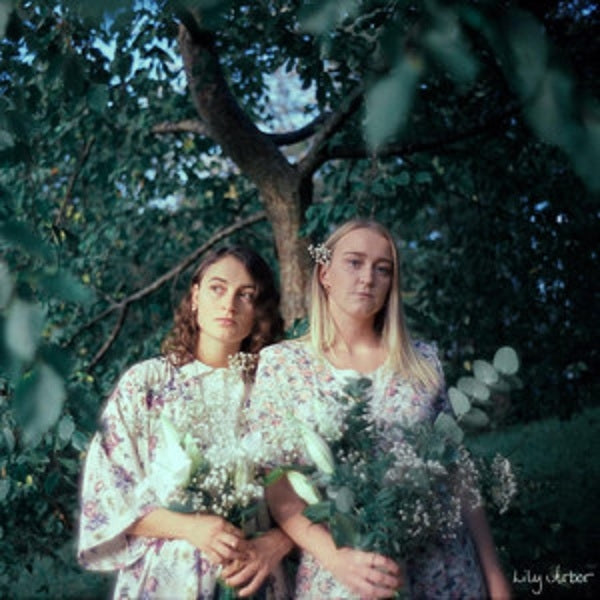 |  Vinyl LP | Lily Arbor - Lily Arbor (LP) | Records on Vinyl