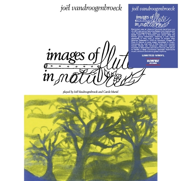 |  Vinyl LP | Joel Vandroogenbroeck - Images of Flute In Nature (LP) | Records on Vinyl