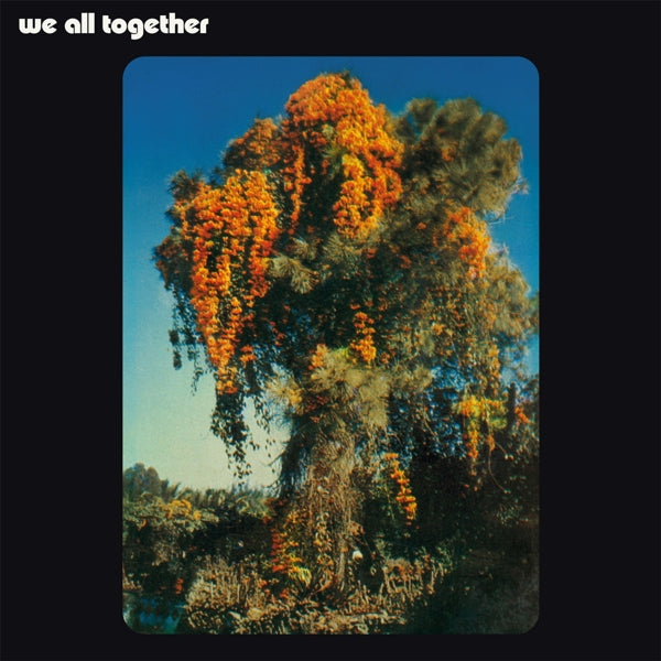 |  Vinyl LP | We All Together - We All Together (LP) | Records on Vinyl