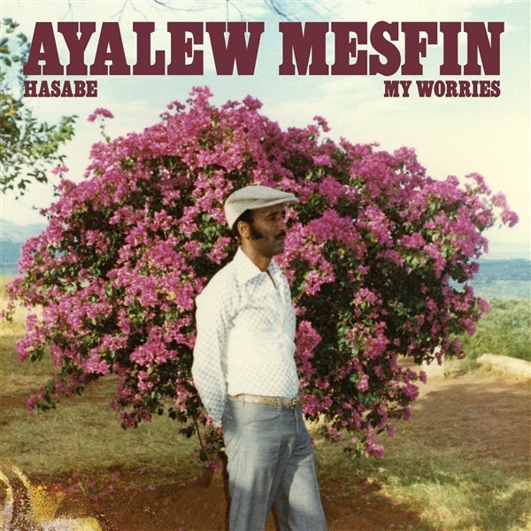 |  Vinyl LP | Ayalew Mesfin - Hasabe - My Worries (LP) | Records on Vinyl