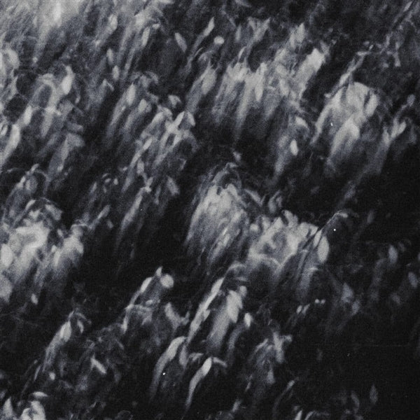 |   | Palmeras Negras - Palmeras Negras (LP) | Records on Vinyl