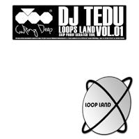 |  Vinyl LP | DJ Tedu - Loops Land (LP) | Records on Vinyl