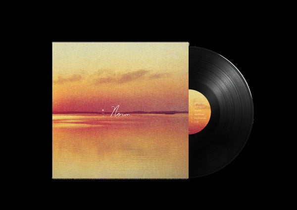 |  Vinyl LP | Andy Shauf - Norm (LP) | Records on Vinyl