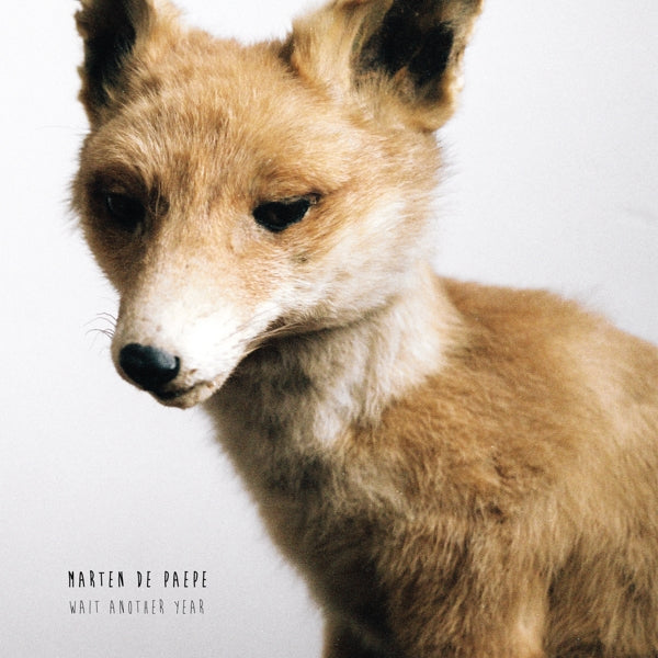 |  Vinyl LP | Marten De Paepe - Wait Another Year (2 LPs) | Records on Vinyl
