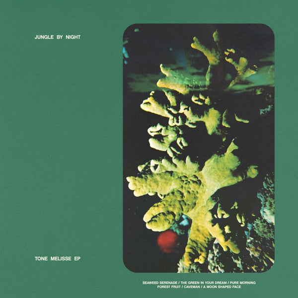 |   | Jungle By Night - Tone Melisse Ep (Single) | Records on Vinyl