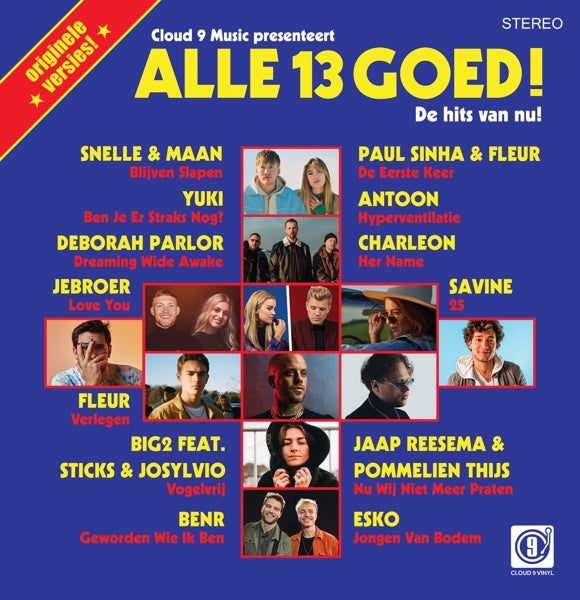 |  Vinyl LP | V/A - Alle 13 Goed! (LP) | Records on Vinyl